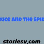 Bruce and the Spider