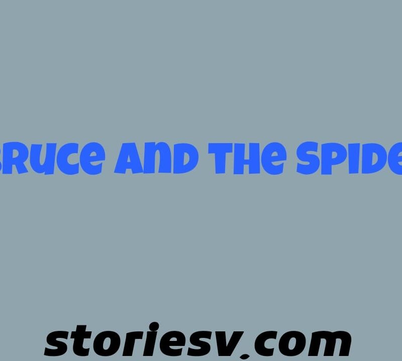 Bruce and the Spider